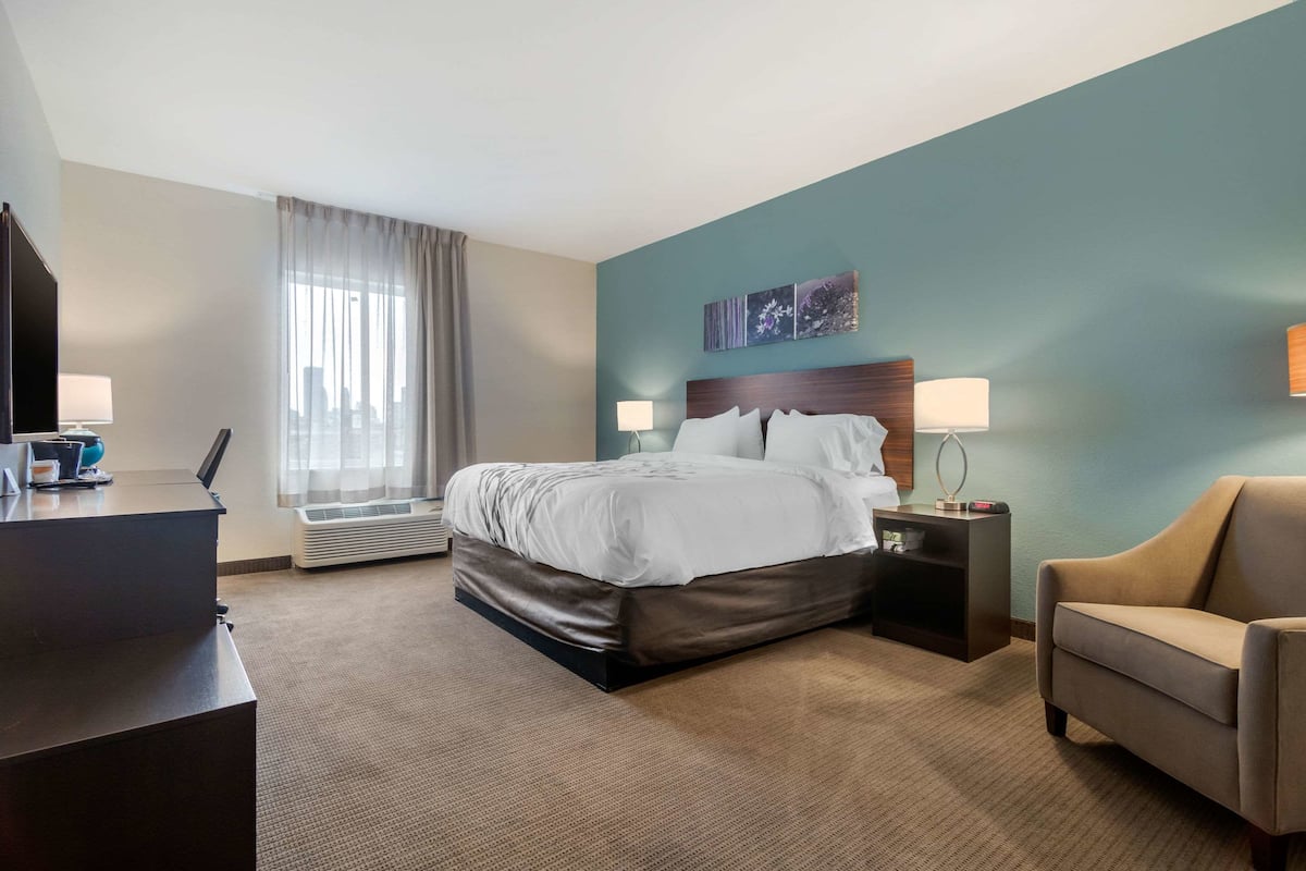 Ein Hotelzimmer mit Bett, Schreibtisch, Stuhl und einem fensterbepflanzten Fenster.