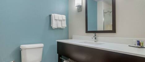 Baño con inodoro, lavamanos y espejo.