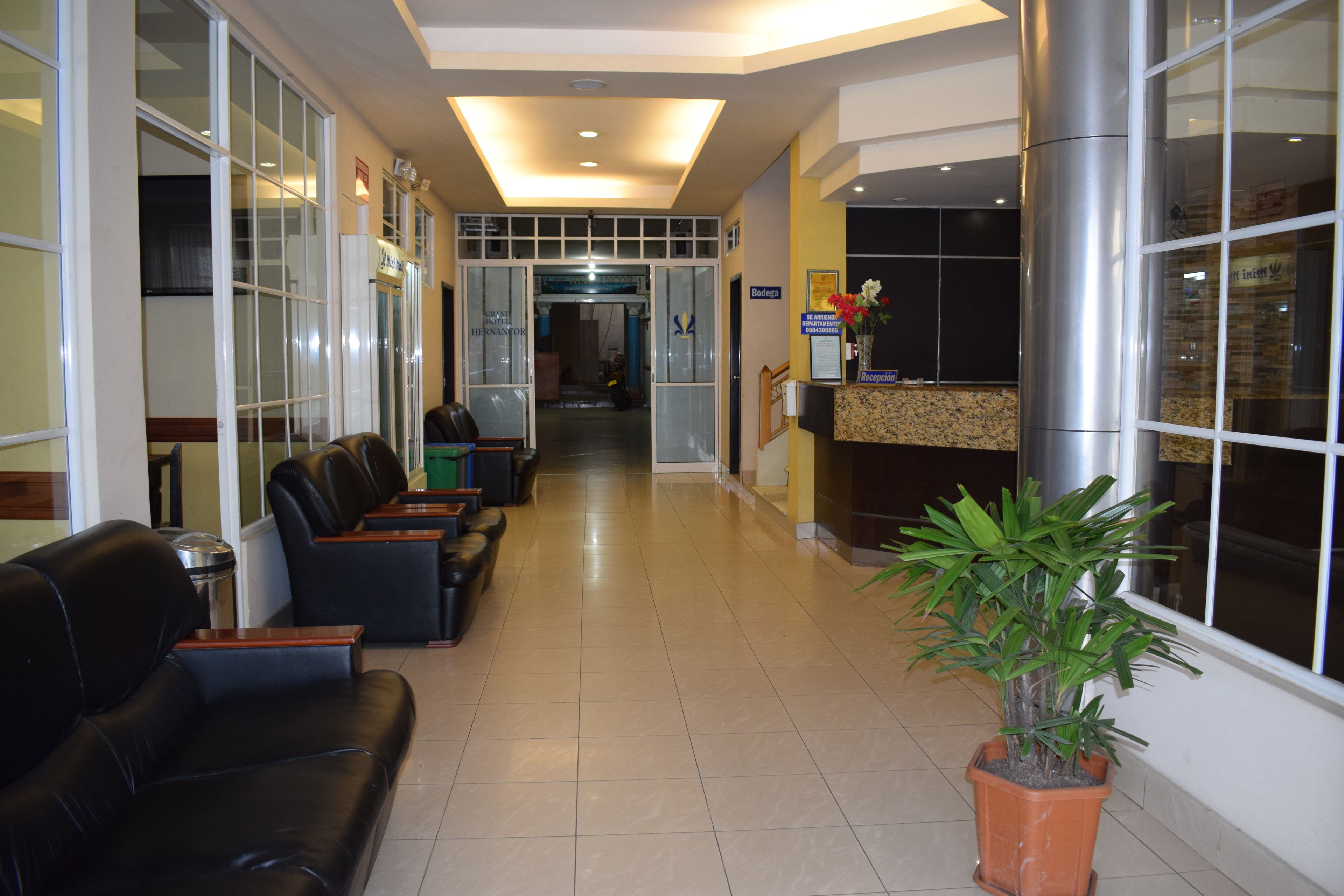 Una zona di accoglienza con scrivania della reception, sedute in pelle nera e una pianta in vaso.