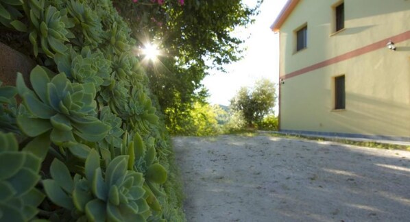 A building with a sandy ground and a green hedge. - Agriturismo La Casa nel Cielo (San Paolo di Jesi)