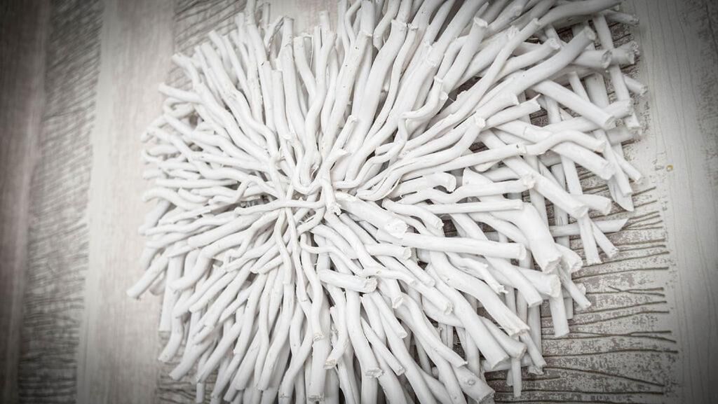 Primer plano de objetos blancos y alargados dispuestos en un círculo sobre una superficie rugosa.