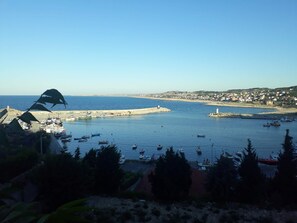 Beach/ocean view