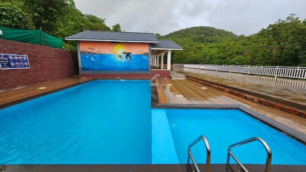 Une piscine ornée d’une fresque représentant un dauphin et un coucher de soleil, entourée d’une terrasse en bois et d’une clôture blanche.