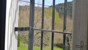 A window with metal bars, a view of a green landscape with trees and a hill in the distance.