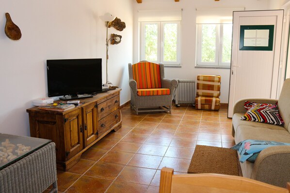 TV, DVD player, books