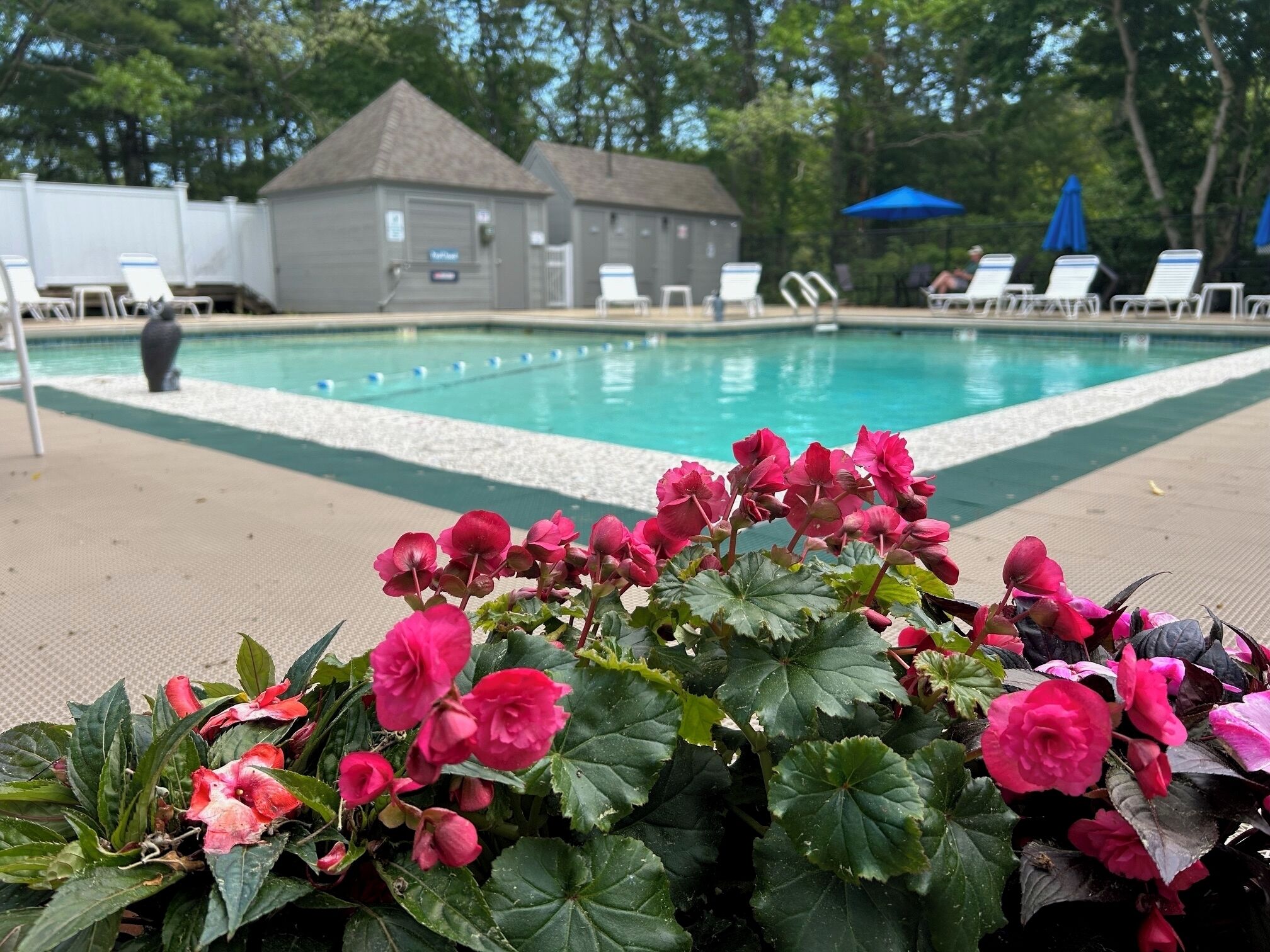 Alberca al aire libre 