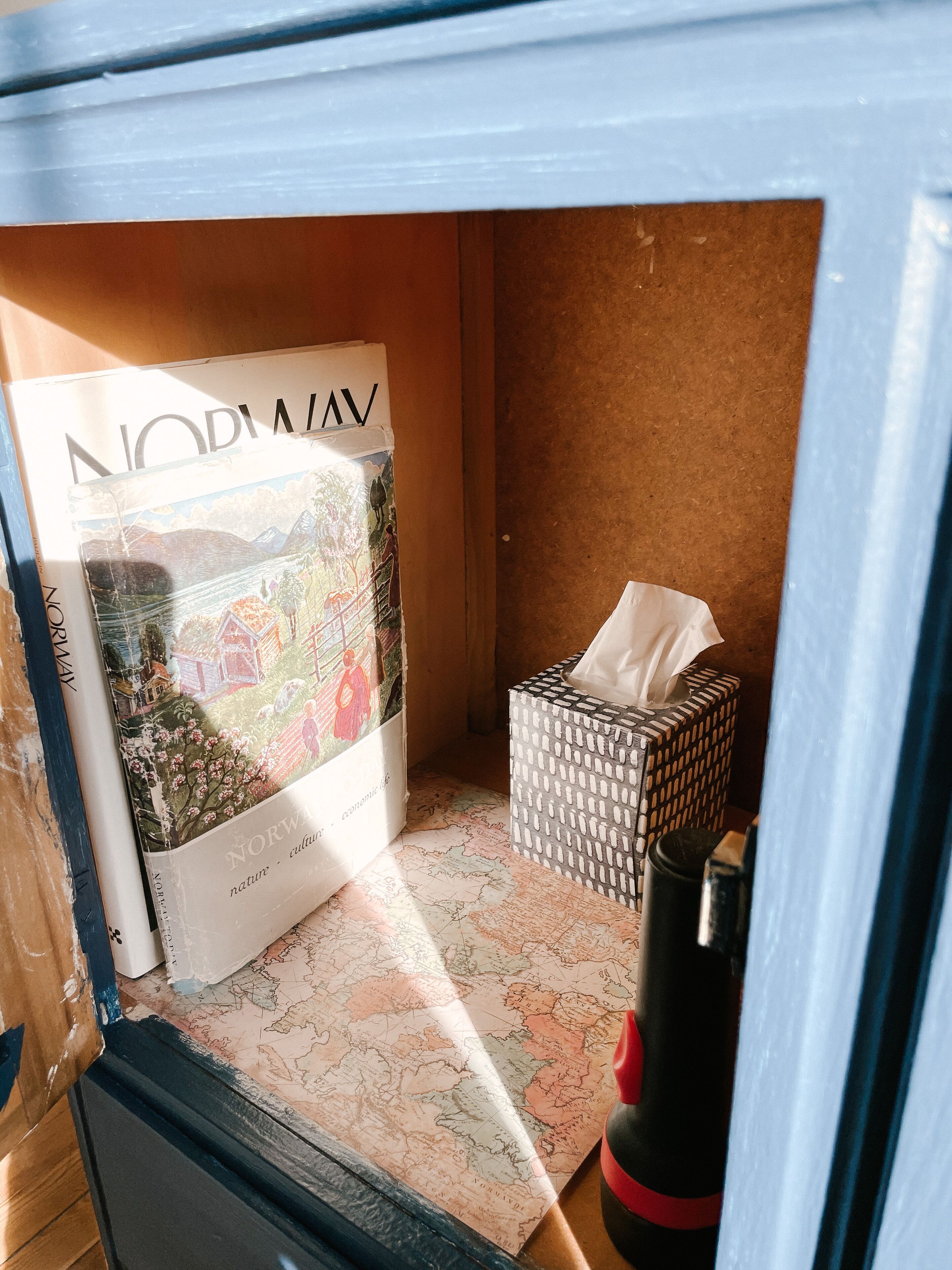 A small room with a map on the floor, a tissue box, and a book titled 'NORWAY'.