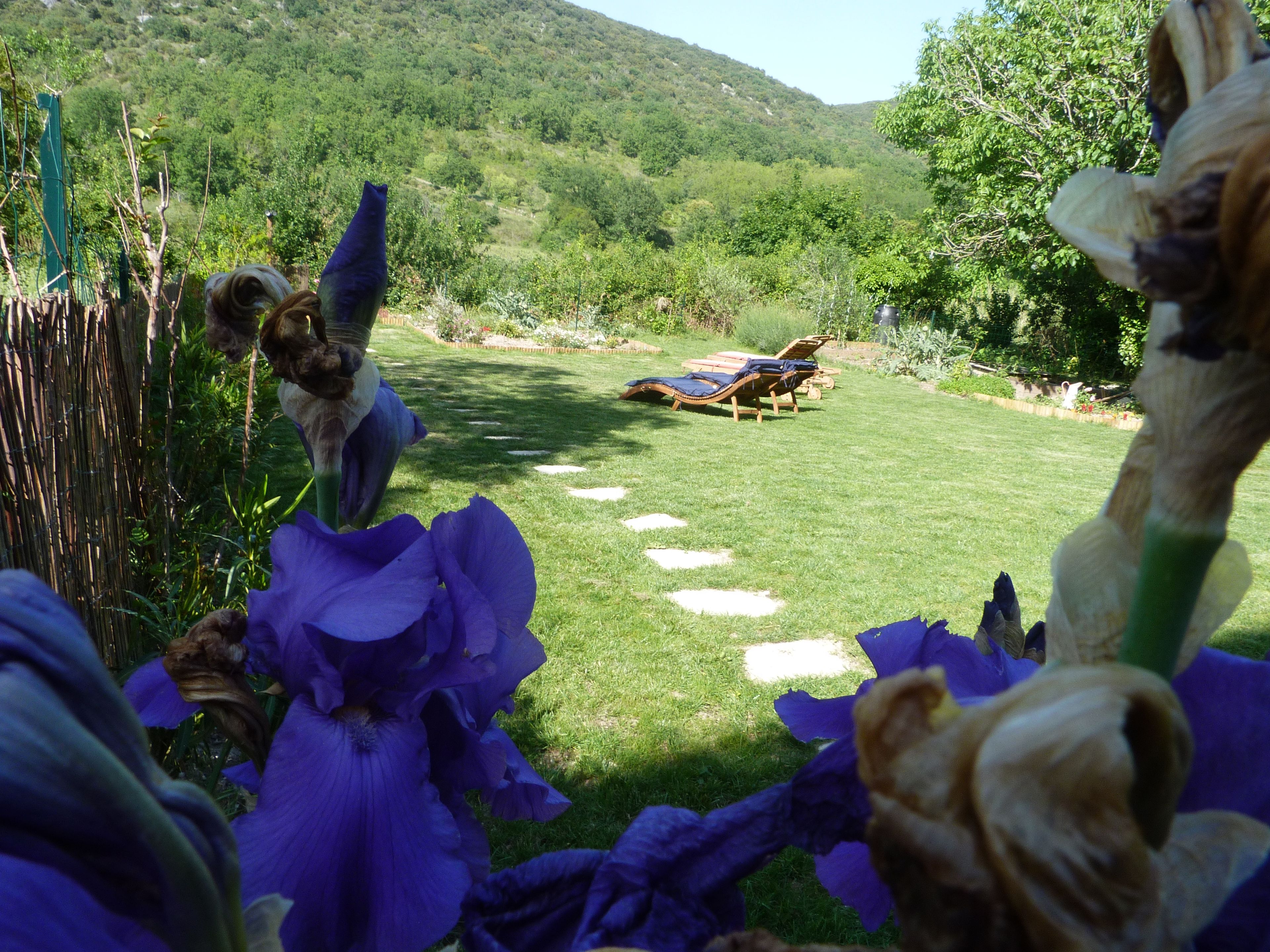 Un giardino con prato, un pontile di legno e montagne sullo sfondo.