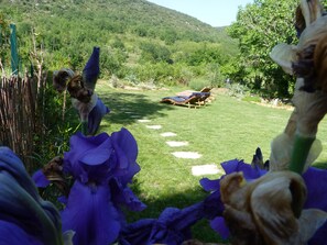 Un jardín con césped, una terraza de madera y montañas al fondo.