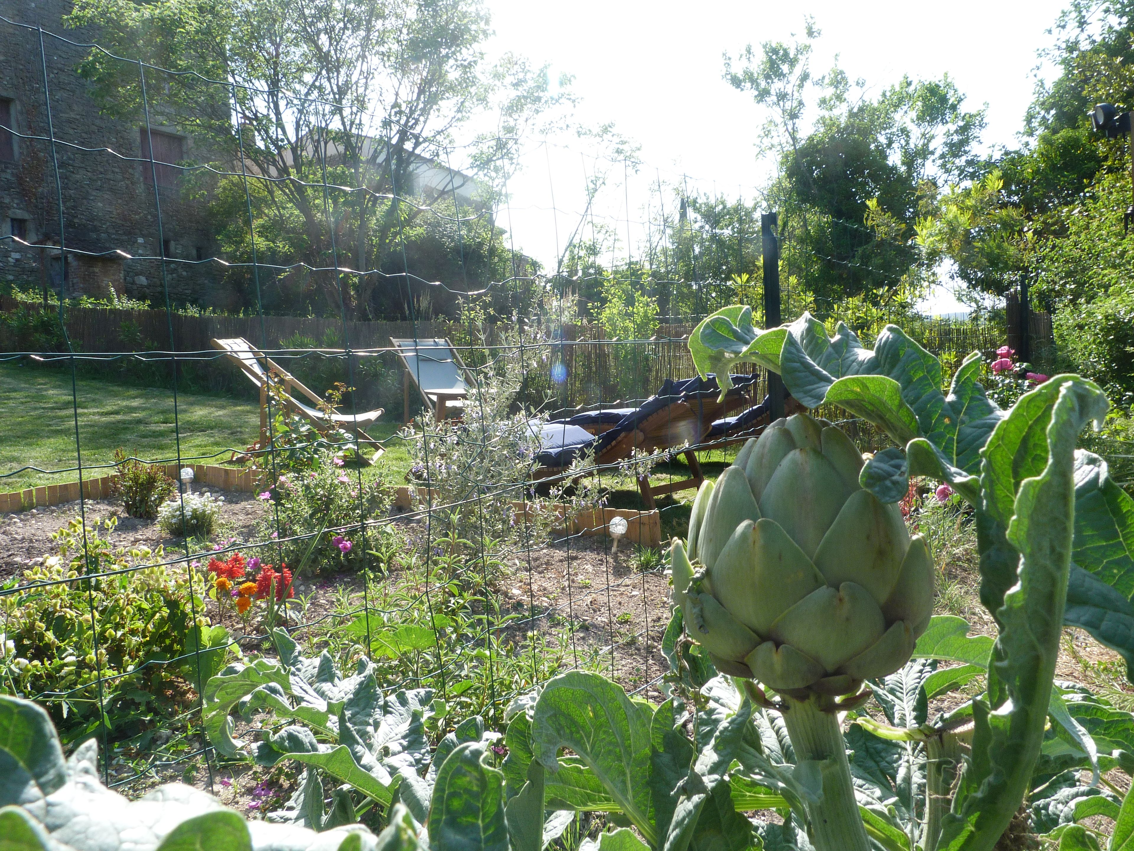 A garden with various plants and a hammock.