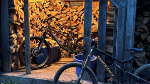 Une structure en bois dotée d’un toit, avec un vélo à l’intérieur et des piles de bois de chauffage.