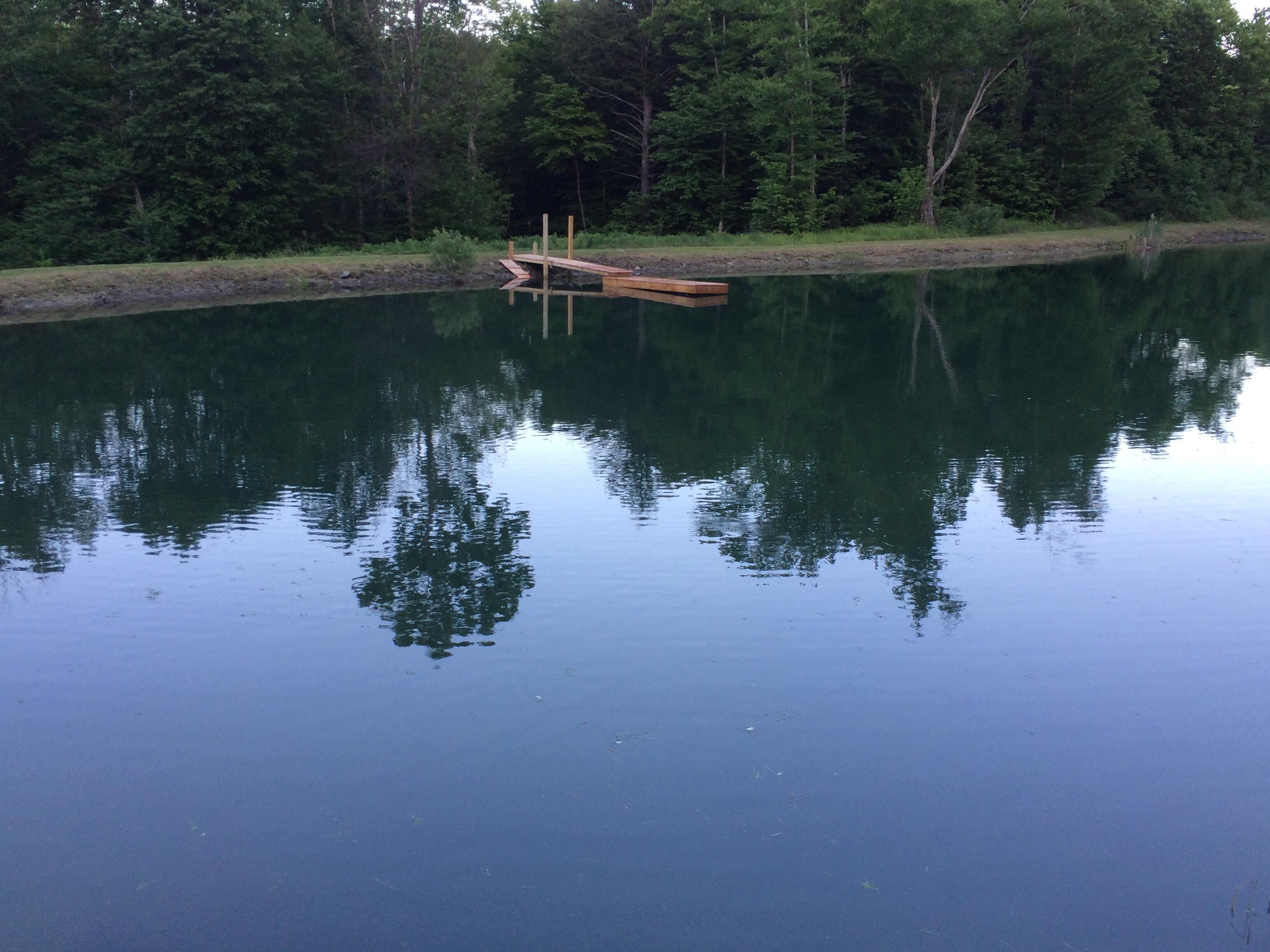A calm lake with a wooden dock extending into the water, surrounded by dense forest.