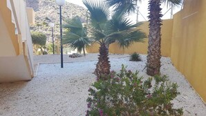 A courtyard with two palm trees, a small flowering plant, and a lamp post. - Apartment in Cabo de Palos (Cabo de Palos)