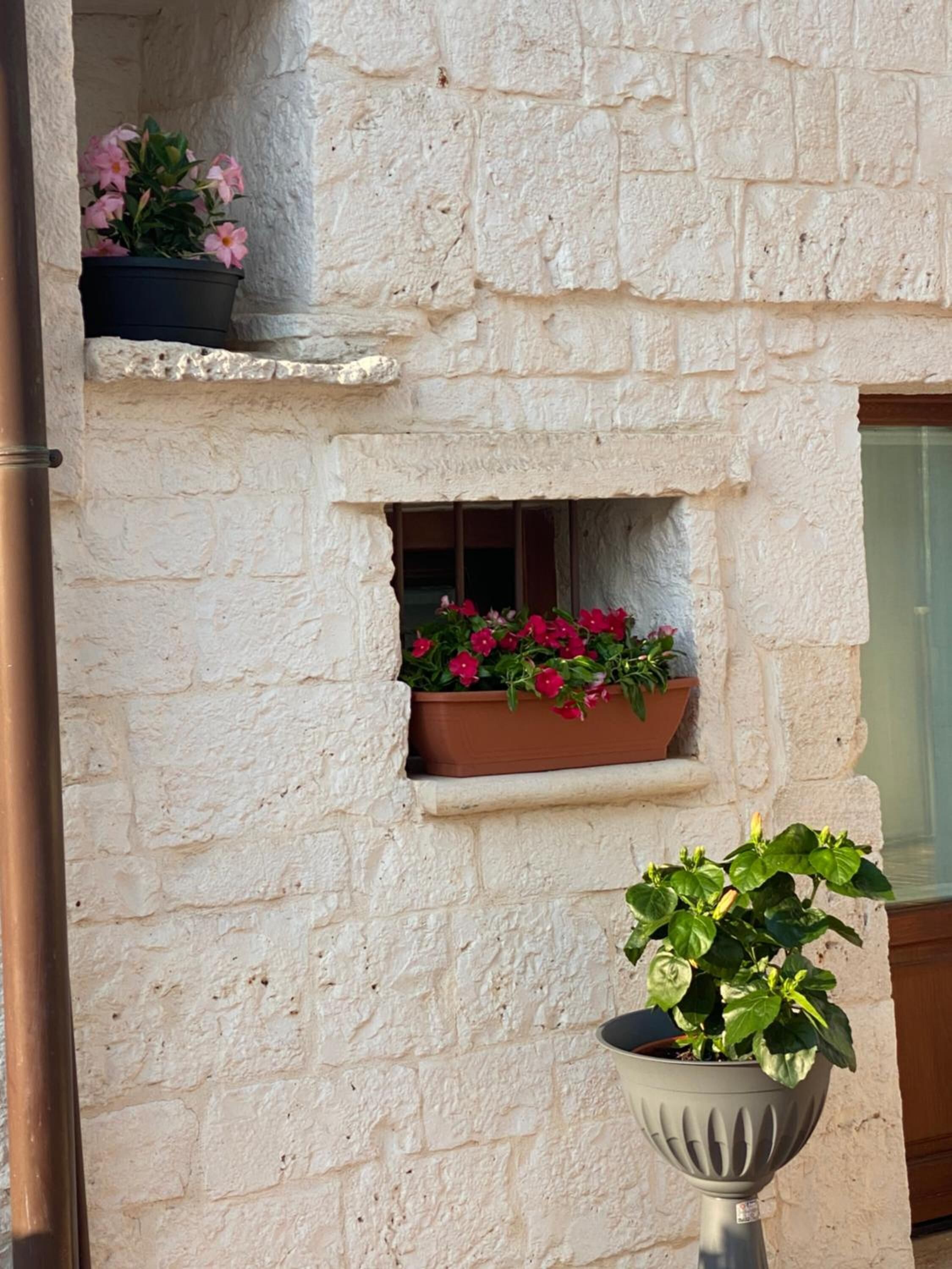 A building with a stone facade, a small window with a flower box, and a potted plant in front.