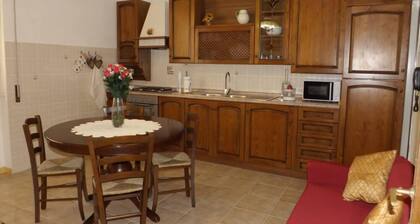 APARTMENT " OF FLOWERS " NEAR TO THE CENTRE OF FLORENCE