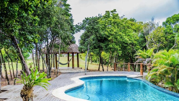 A swimming pool with a wooden deck, surrounded by trees and a hammock.