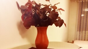 A room with a bed, a red vase with a plant, and a dark red tablecloth. - Casa Elia Venice ... (Venezia)