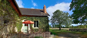 The lime tree lodge, a cocoon in lush greenery.