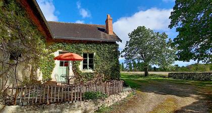The lime tree lodge, a cocoon in lush greenery.