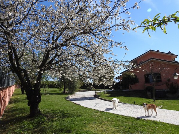 Parco della struttura