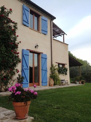 Exterior - apartment/ flat - Serrungarina (Serrungarina)