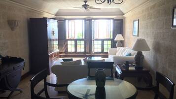 TV, DVD player, books, video library