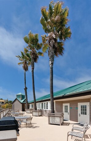 Un hôtel situé en bord de mer, agrémenté de palmiers, doté d’un espace extérieur aménagé et d’un toit végétalisé.