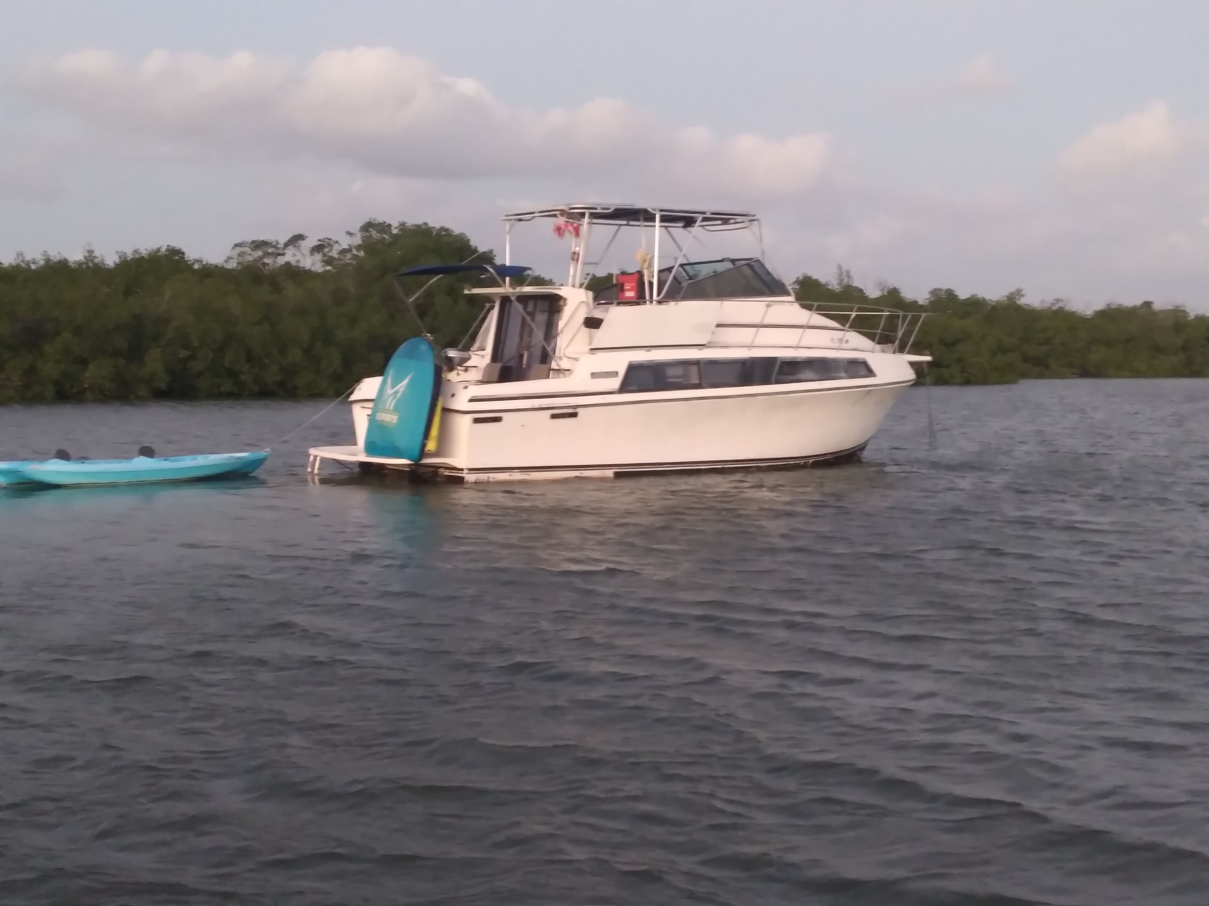 Een witte boot met een zonnescherm op een rustig wateroppervlak.