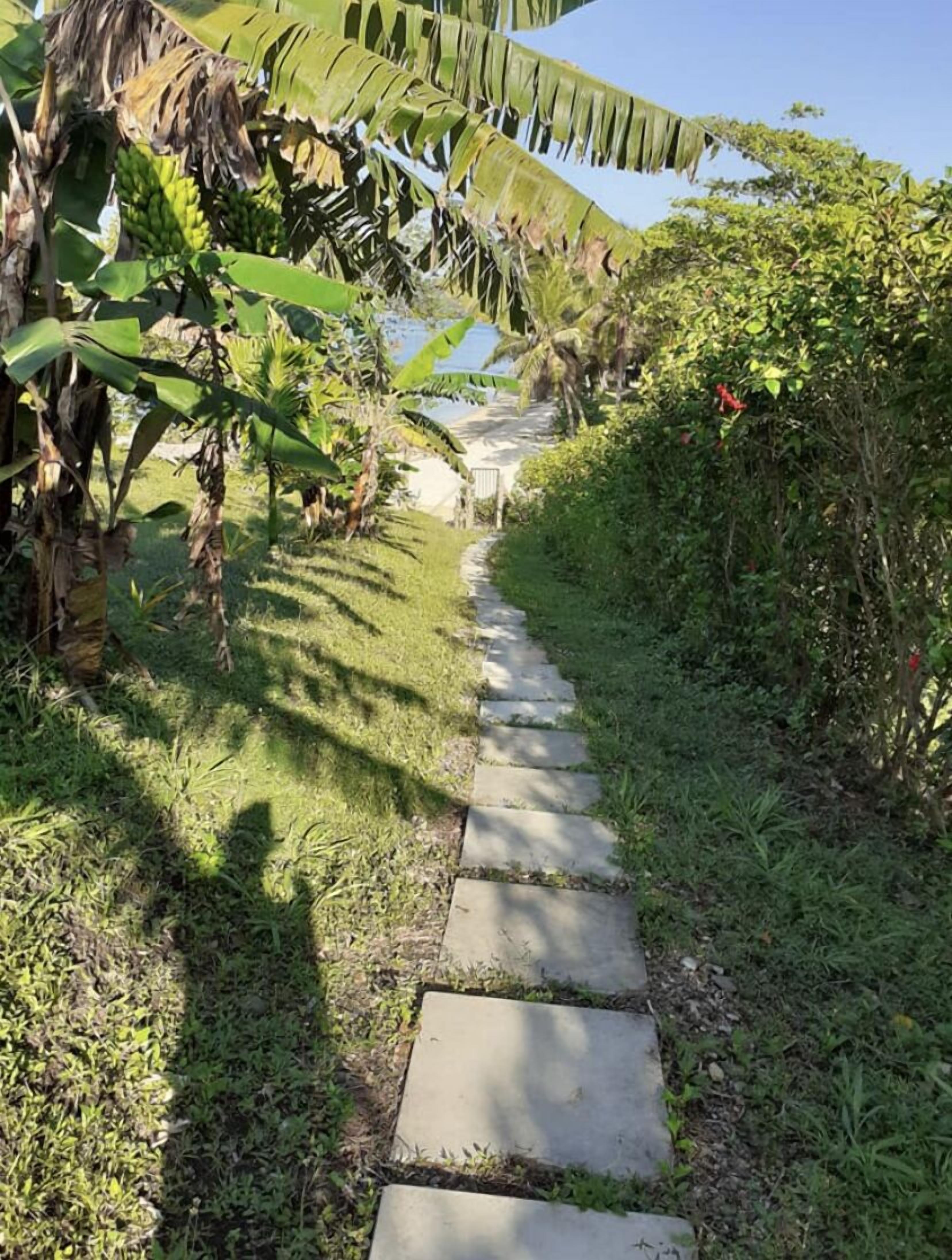 A stone pathway leading through a garden with banana trees and dense foliage.