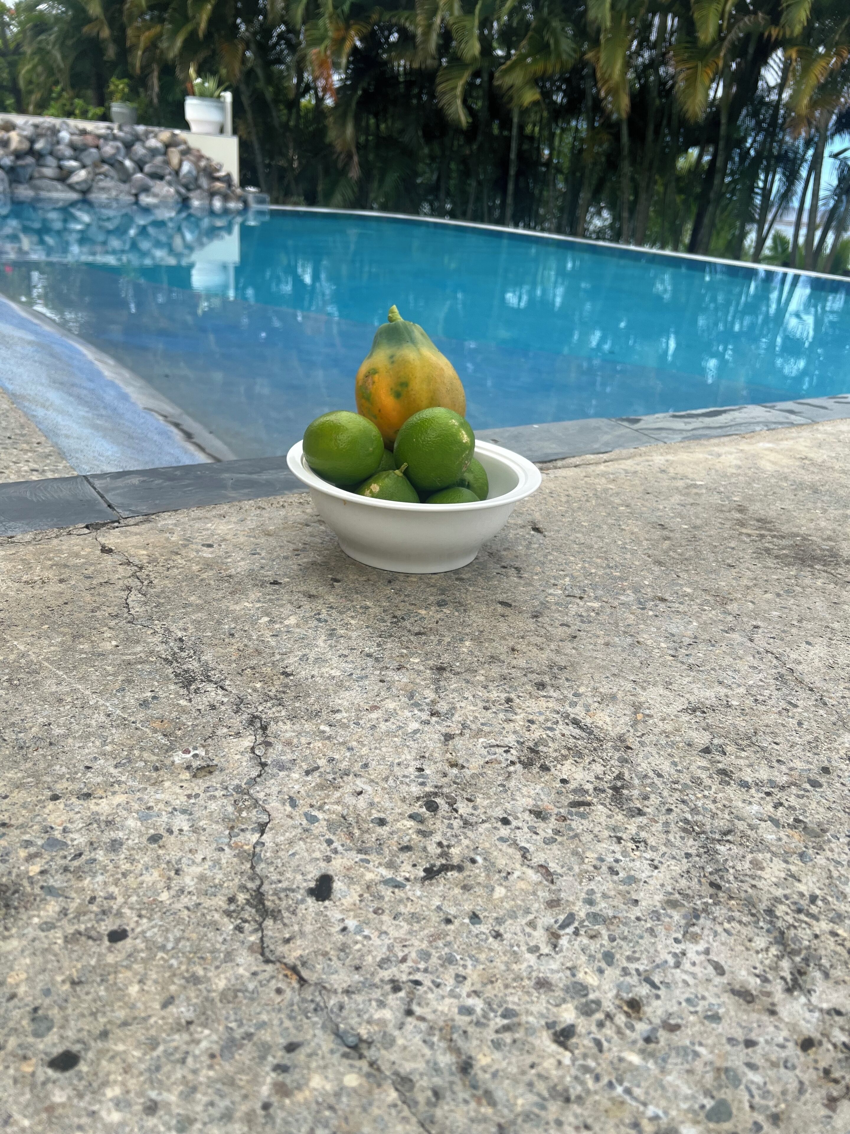 A bowl of limes and a fruit on a concrete surface near a pool.