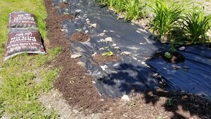 En plantebed med små planter, en træterrasse og en parkeret bil i nærheden.