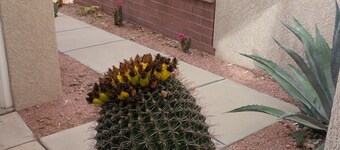 Lovely Two Bedroom Getaway Located On Omni National Golf Course