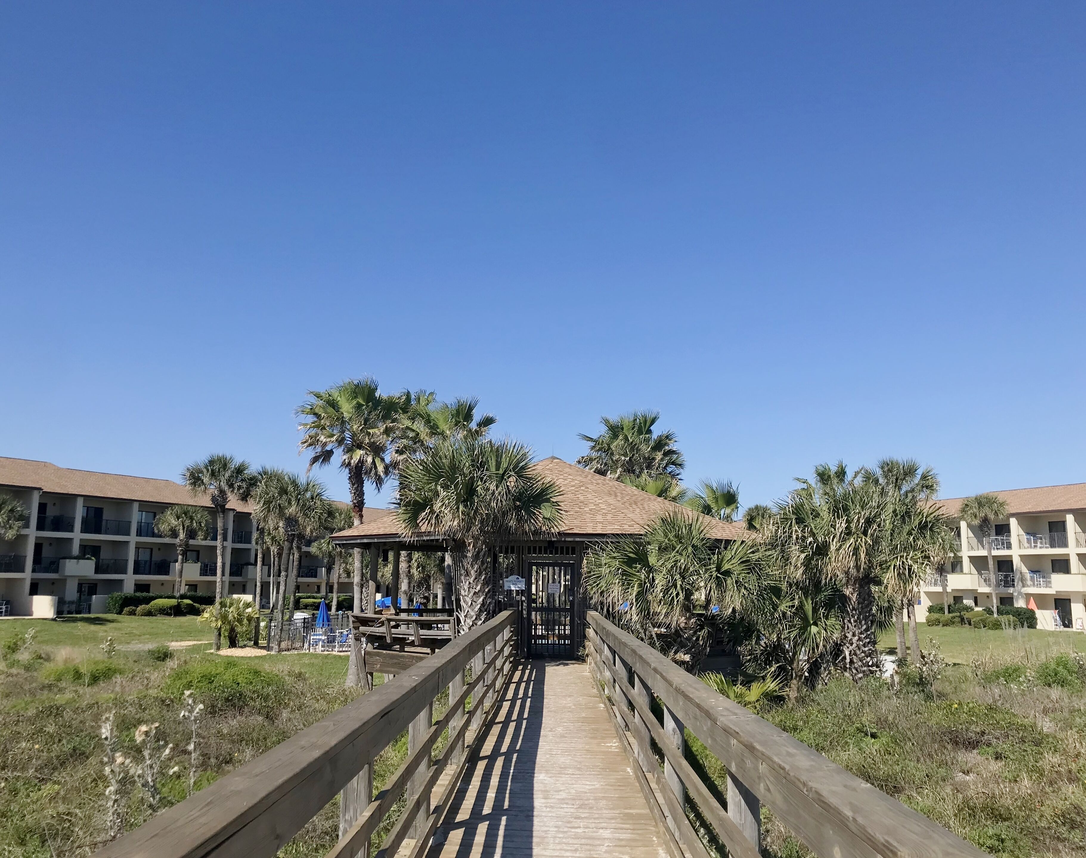 A wooden boardwalk leading to a gazebo with a tiled roof, surrounded by palm trees and a building with balconies.