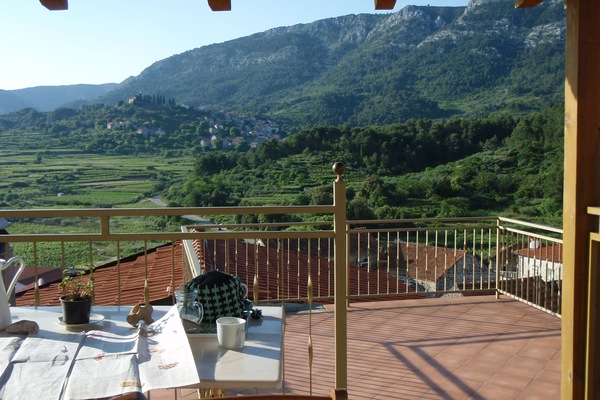 The terrace