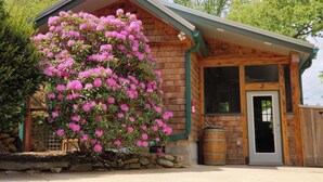Un bâtiment rustique en bois, doté d’un toit végétalisé, avec un grand arbre à fleurs roses devant et un tonneau à l’extérieur.