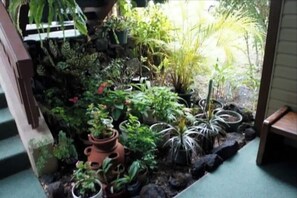 garden with lush potted plants and shrubs, surrounded by a low wall and a comfortable bench.