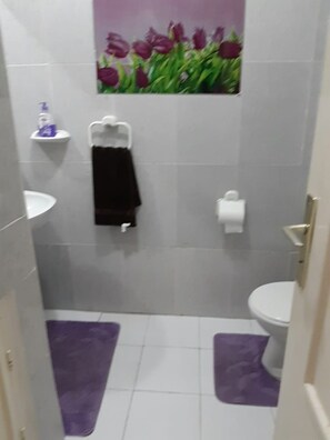 Une salle de bain comprenant des toilettes, un lavabo, un porte-serviettes, un support à papier toilette et un tapis violet sur le sol.