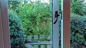 A window with a view of a wooden fence and greenery outside.