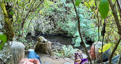 Our Creekside Cottage is located only a mile from the Olympic Discovery Trail.