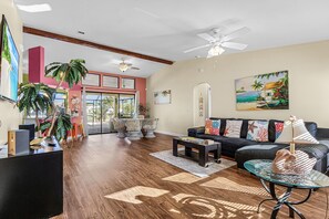 Smart TV, DVD player, books, video library