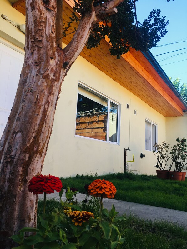 Détail de l’extérieur