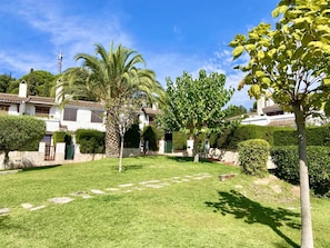 Un jardin bien entretenu, avec un chemin de pierre, des palmiers et des haies soigneusement taillées.