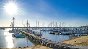 Un puerto deportivo con numerosas embarcaciones amarradas, un muelle de madera y cielo despejado.