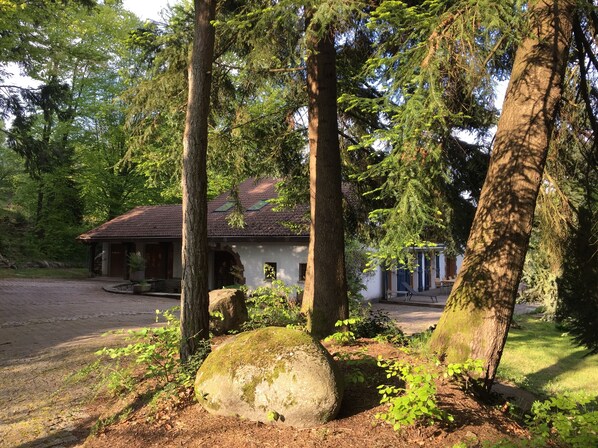 A rustic cabin with a tiled roof, surrounded by large trees and a stone pathway leading to the entrance.