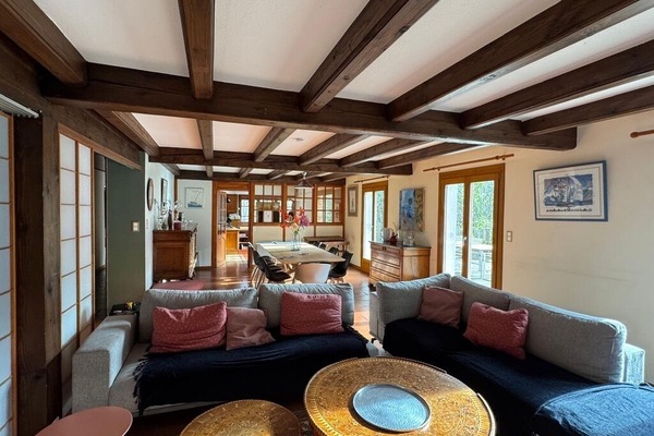 Télévision, cheminée, table de tennis de table, livres