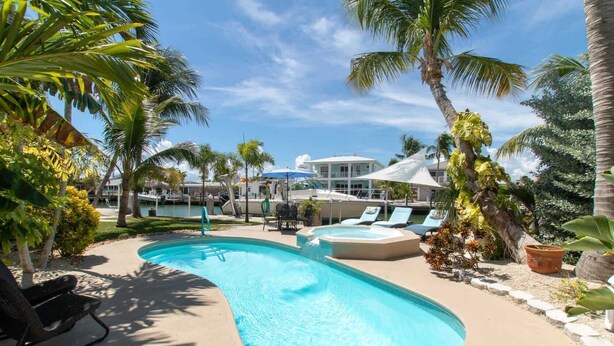 A swimming pool with lounge chairs and palm trees.
