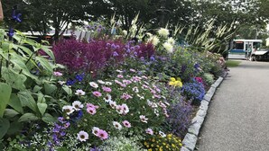 Un jardín con diversas flores y plantas, un camino pavimentado y un autobús al fondo.