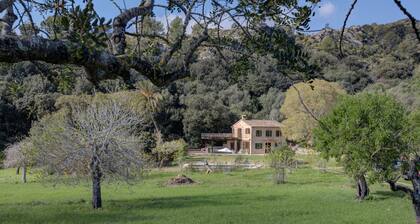 La Coma-Vall de Colonya | Finca with pool | quiet location | 1 Km from Pollença