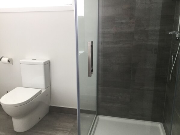 A bathroom with a toilet, a glass shower enclosure, and a toilet paper holder.