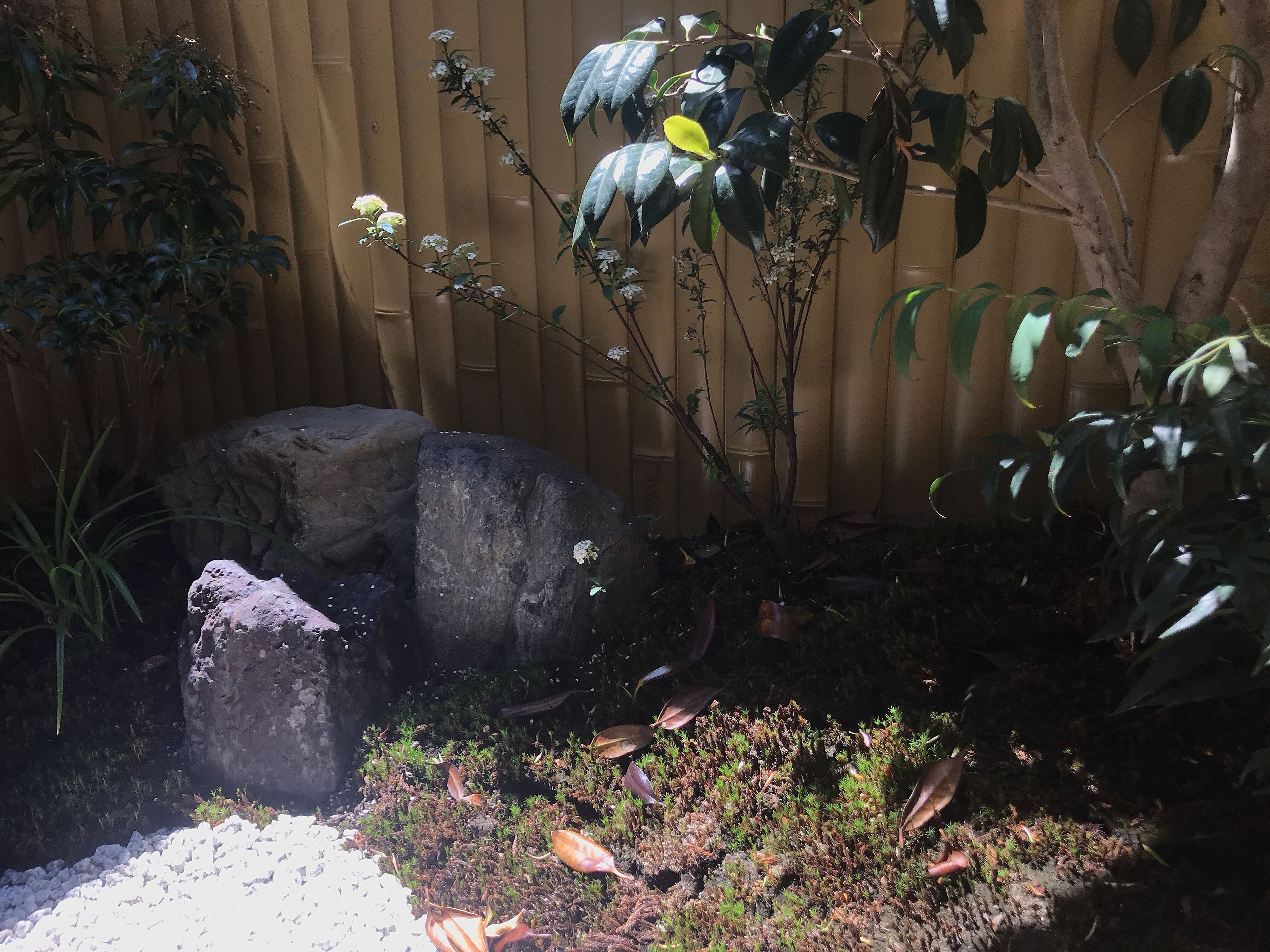 Foto - Shiki Shiki Higashiyama